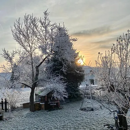 Im Dreilaendereck * Büchlberg