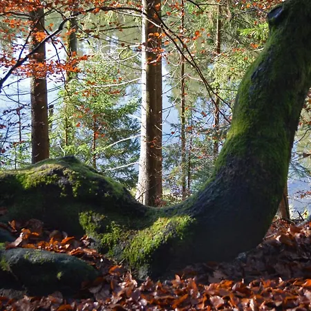 Im Dreilaendereck Büchlberg