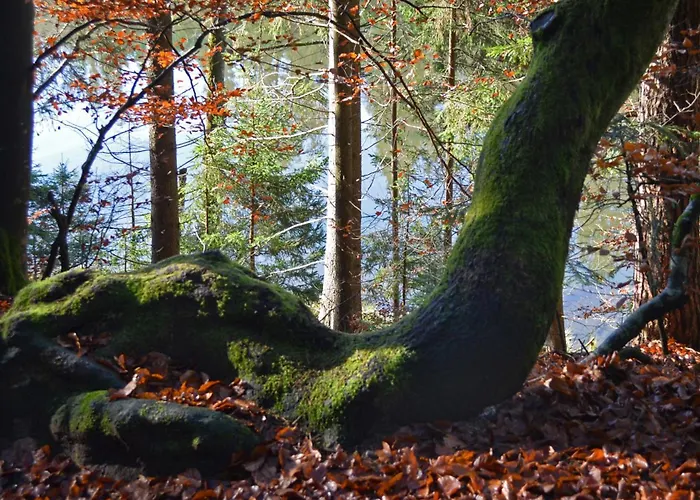 Im Dreilaendereck Büchlberg